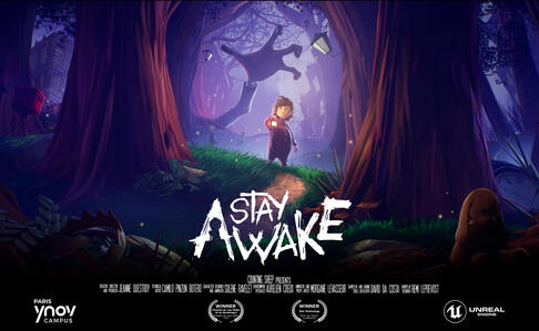 Stay Awake - Study Projects